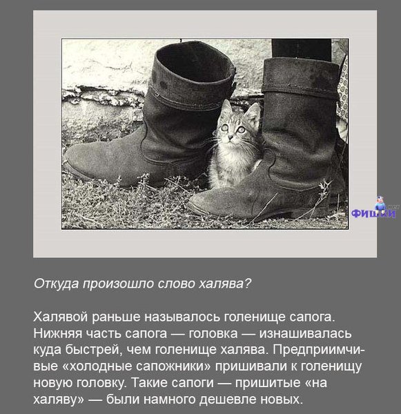 Интересные факты обо всем (35 фото)