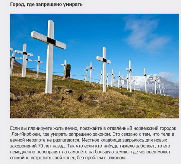 Необычные законы (12 фото)