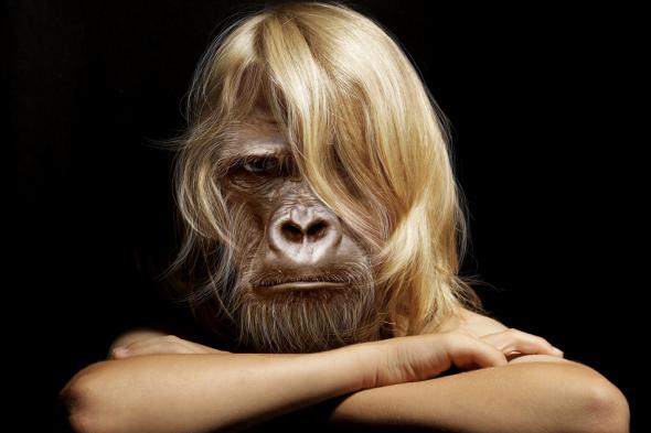 Разум-2012, человеческий нечеловеческий