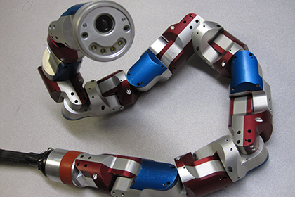 Змея научила робота ползать