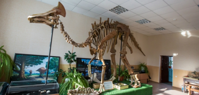 как заново собирают скелеты динозавров